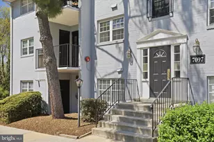 7097 Spring Garden Dr, Springfield, VA 22150 - Photo 29