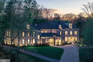 9111 Dara Ln, Great Falls, VA 22066 - Photo 83