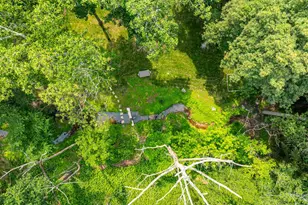 825 Whann Ave, McLean, VA 22101 - Photo 49