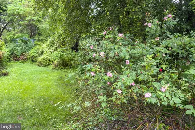 8608 Queen Elizabeth Boulevard, Annandale, VA 22003 - Photo 69