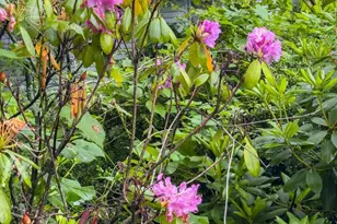 8608 Queen Elizabeth Blvd, Annandale, VA 22003 - Photo 65