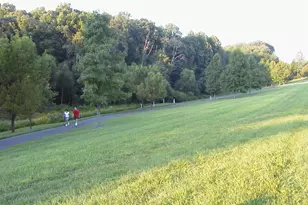 6142 Joust Ln, Alexandria, VA 22315 - Photo 39