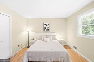 6604 Grey Fox Dr, Springfield, VA 22152 - Photo 19