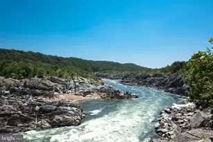 11922 Holly Spring Dr, Great Falls, VA 22066 - Photo 85