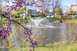 6206 Redins Dr, Alexandria, VA 22310 - Photo 19