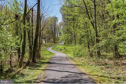 1646 Stowe Road, Reston, VA 20194 - Photo 43