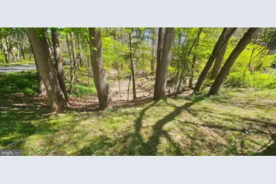 Dryburgh, Springfield, VA 22152 - Photo 9