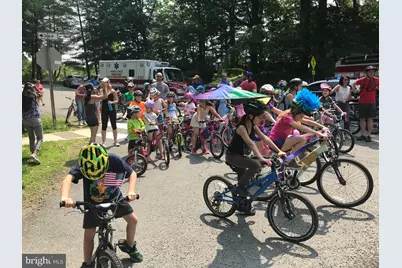 9129 Leghorn Place, Fairfax, VA 22031 - Photo 61