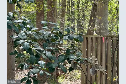 6001 Evergreen Trail, Lorton, VA 22079 - Photo 5