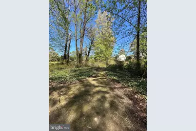 2419 Beacon Hill Road, Alexandria, VA 22306 - Photo 5