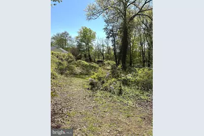 2419 Beacon Hill Road, Alexandria, VA 22306 - Photo 3