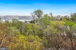 5904 Mt Eagle Dr, Alexandria, VA 22303 - Photo 7