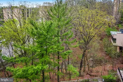 5904 Mount Eagle Drive #718, Alexandria, VA 22303 - Photo 23