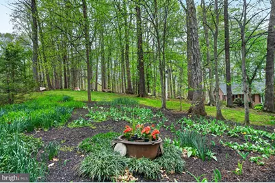 11720 Amkin Drive, Clifton, VA 20124 - Photo 49