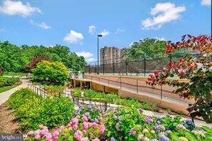 5904 Mt Eagle Dr, Alexandria, VA 22303 - Photo 59