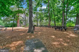 5904 Mt Eagle Dr, Alexandria, VA 22303 - Photo 57