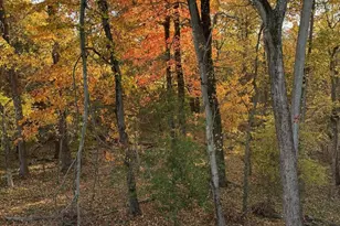 8734 Lukens Ln, Alexandria, VA 22309 - Photo 65