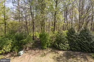 6611 Dunwich Way, Alexandria, VA 22315 - Photo 19