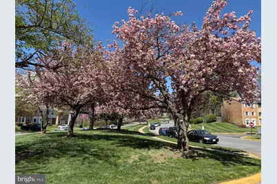 6302 Paddington Lane, Centreville, VA 20120 - Photo 35