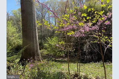 1107 Dead Run Drive, McLean, VA 22101 - Photo 3