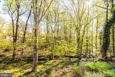 3535 Memorial Street, Alexandria, VA 22310 - Photo 65