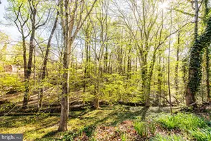 3535 Memorial St, Alexandria, VA 22310 - Photo 65