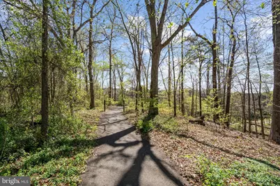 6392 Eighth Circle, Alexandria, VA 22312 - Photo 43