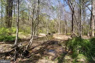 6392 8th Cir, Alexandria, VA 22312 - Photo 39