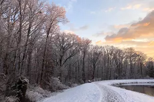 13113 Nestlewood Ct, Herndon, VA 20171 - Photo 77