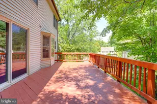 9202 Dorothy Ln, Springfield, VA 22153 - Photo 11