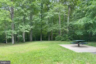 9202 Dorothy Ln, Springfield, VA 22153 - Photo 69