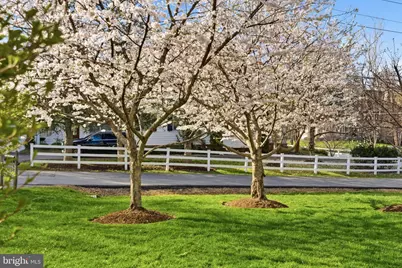 6962 Park Avenue, McLean, VA 22101 - Photo 49