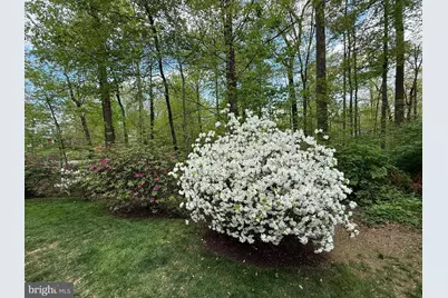 5810 Hall Street, Burke, VA 22015 - Photo 101