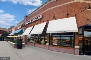 7405 Dunnington Pl, Alexandria, VA 22315 - Photo 85