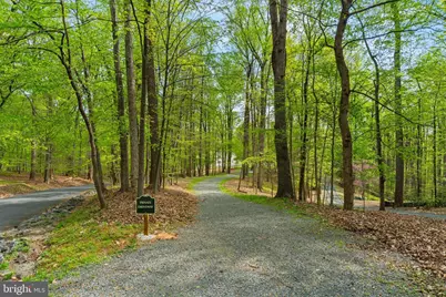 9201 Potomac Woods Lane, Great Falls, VA 22066 - Photo 5