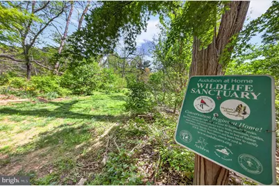 9261 Bailey Lane, Fairfax, VA 22031 - Photo 61