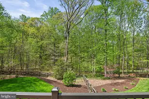 9126 Potomac Ridge Rd, Great Falls, VA 22066 - Photo 43