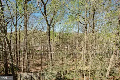 5932 Founders Hill Drive #202, Alexandria, VA 22310 - Photo 17