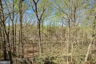 5932 Founders Hill Dr, Alexandria, VA 22310 - Photo 17