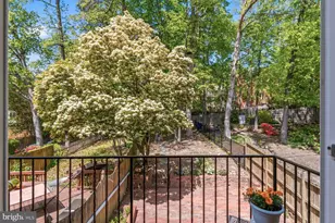 8240 Taunton Pl, Springfield, VA 22152 - Photo 31