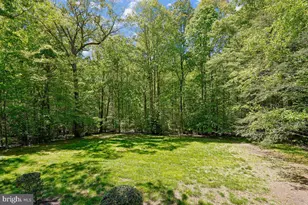 188 River Park Dr, Great Falls, VA 22066 - Photo 67