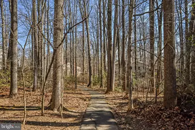 9929 Hemlock Woods Lane, Burke, VA 22015 - Photo 59