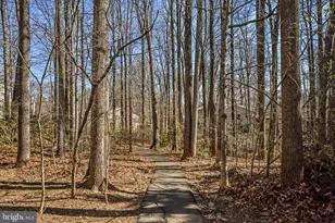 9929 Hemlock Woods Ln, Burke, VA 22015 - Photo 59