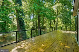 4207 Adrienne Dr, Alexandria, VA 22309 - Photo 55