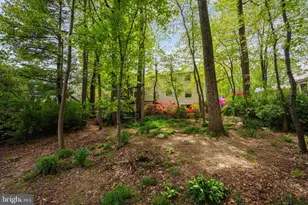 10906 Carters Oak Way, Burke, VA 22015 - Photo 41