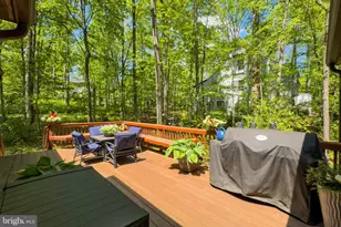 10714 Midsummer Dr, Reston, VA 20191 - Photo 55
