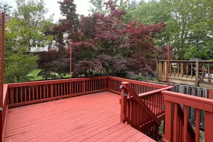 8408 Millwood Dr, Springfield, VA 22152 - Photo 23
