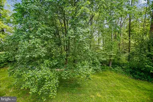 14408 Rockymount Ct, Centreville, VA 20120 - Photo 45