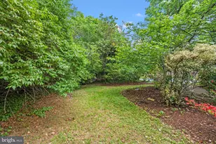 1920 Windmill Ln, Alexandria, VA 22307 - Photo 49