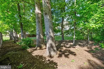 2615 Thomas Young Lane, Herndon, VA 20171 - Photo 19